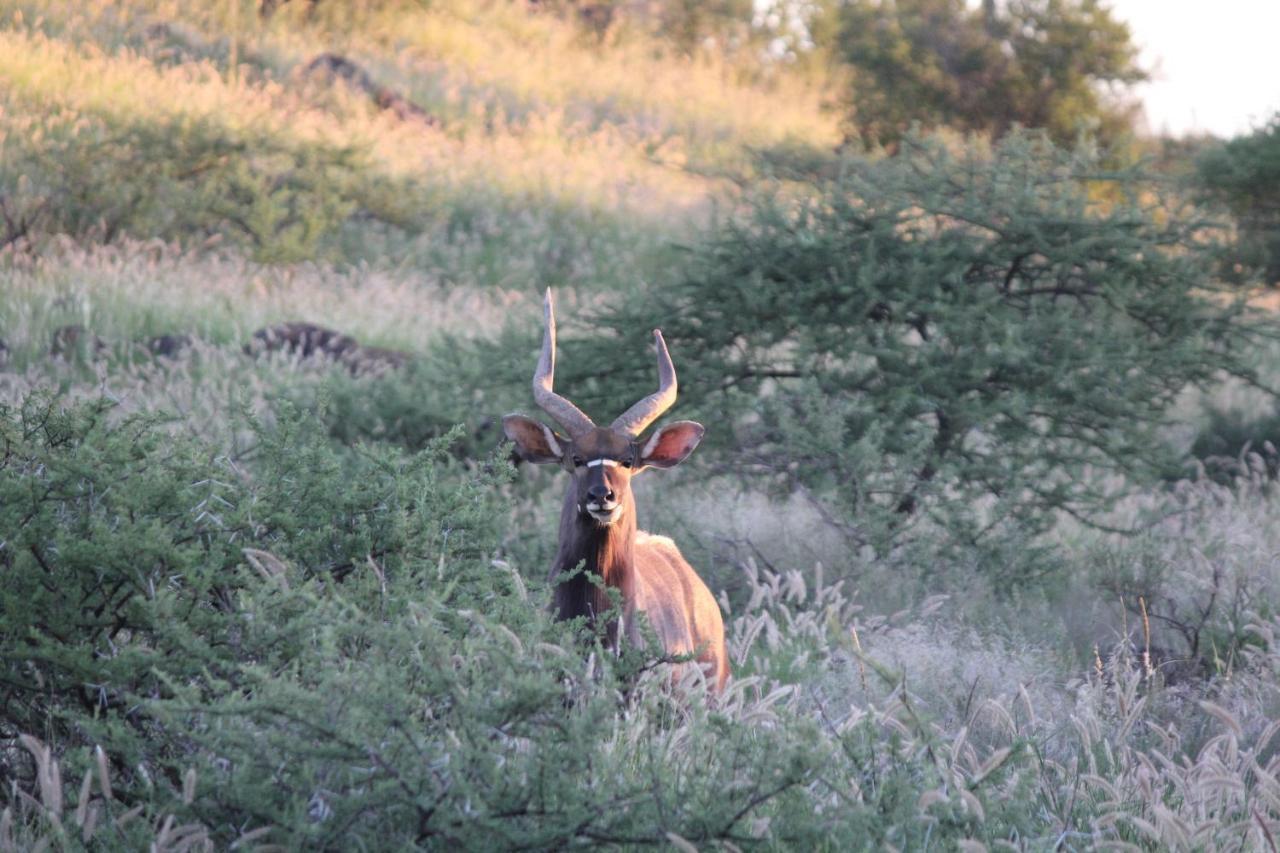 Wag N Bietjie Bush Lodge Heuningneskloof Exteriér fotografie