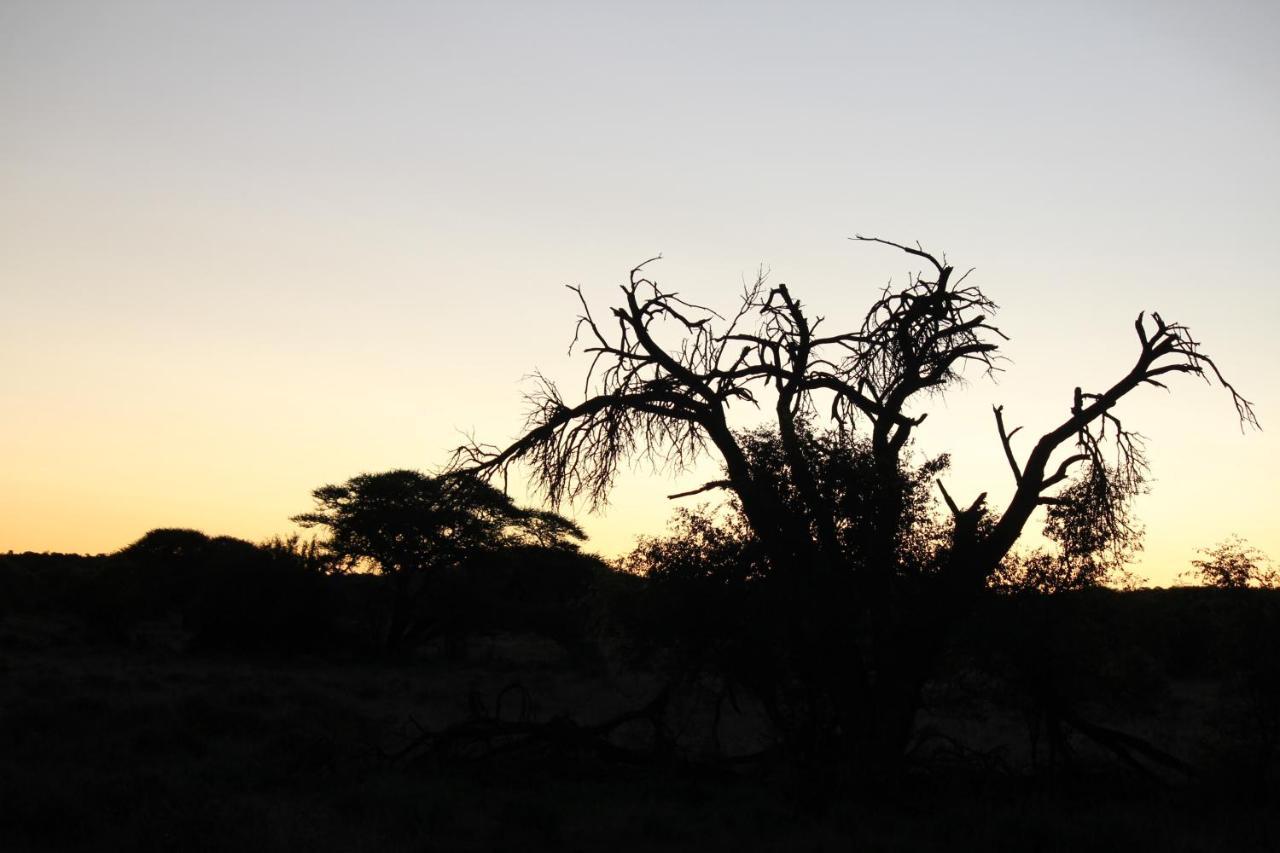 Wag N Bietjie Bush Lodge Heuningneskloof Exteriér fotografie